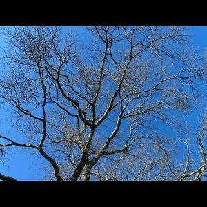 Meet your Posher, Willa